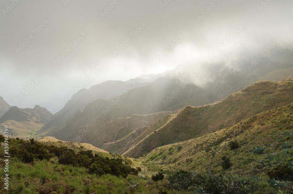 Misty landscape in Tenerife canyons, Tenerife, Canary islands, Spain.