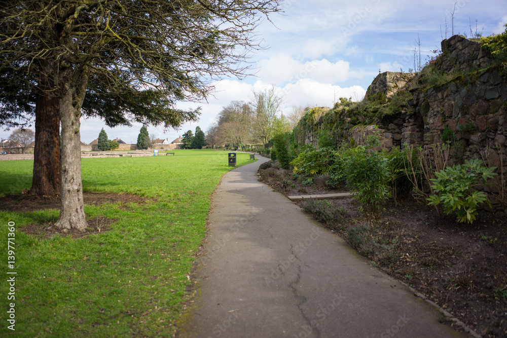 Obraz premium Park setting at springtime.