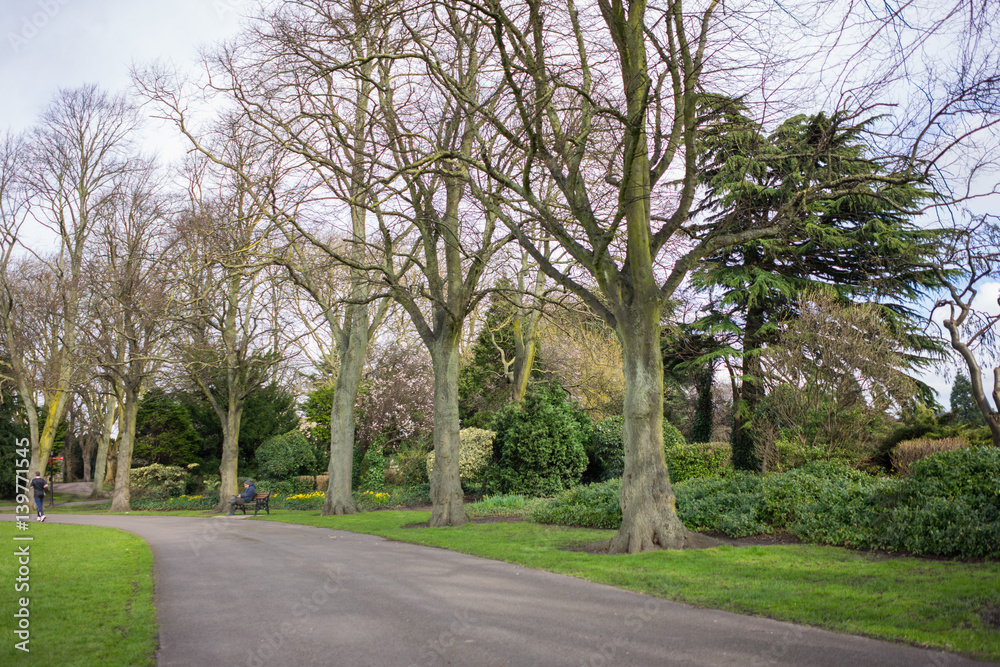 Park setting at springtime.