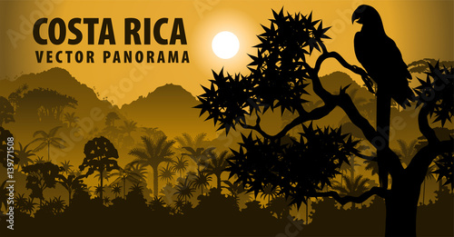 vector panorama of Costa rica with jungle raimforest withara makaw parrot