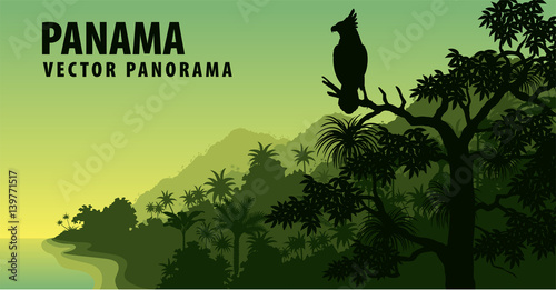 vector panorama of Panama with jungle raimforest with harpy eagle