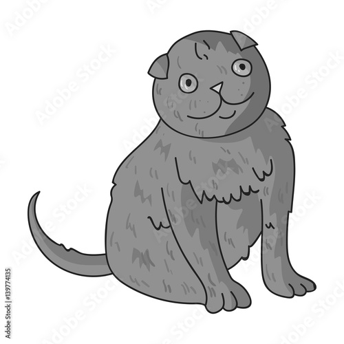 Scottish Fold icon in monochrome style isolated on white background. Cat breeds symbol stock vector illustration.