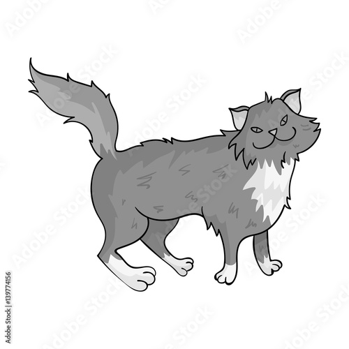 Norwegian Forest Cat icon in monochrome style isolated on white background. Cat breeds symbol stock vector illustration.