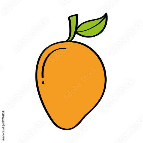 mango fresh fruit drawing icon vector illustration design