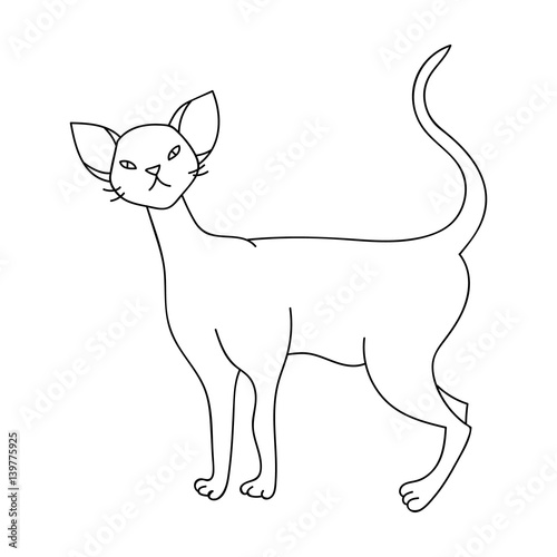 Cornish Rex icon in outline style isolated on white background. Cat breeds symbol stock vector illustration.