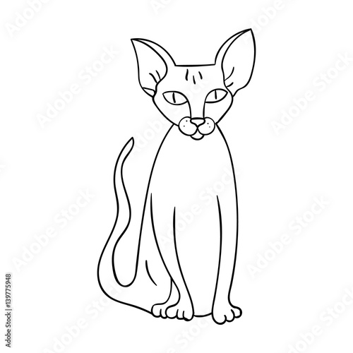 Peterbald icon in outline style isolated on white background. Cat breeds symbol stock vector illustration.