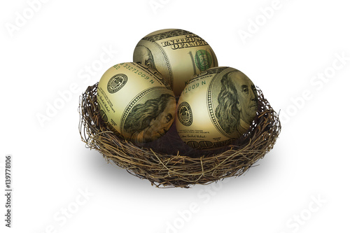 Egg shaped money in nest on white background