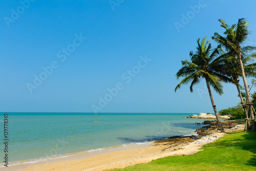 beach with palm tree leaves