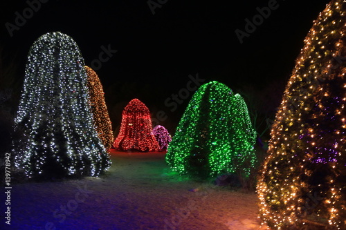 lighting festival