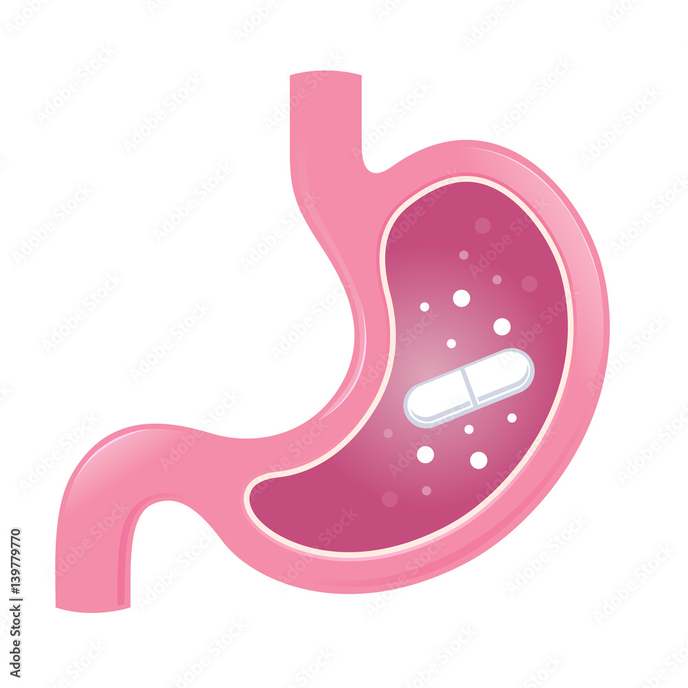 Stomach Intestine Is Being Treated With Medicine Pill Stomach Intestine Is Being Treated With Medicine Pill