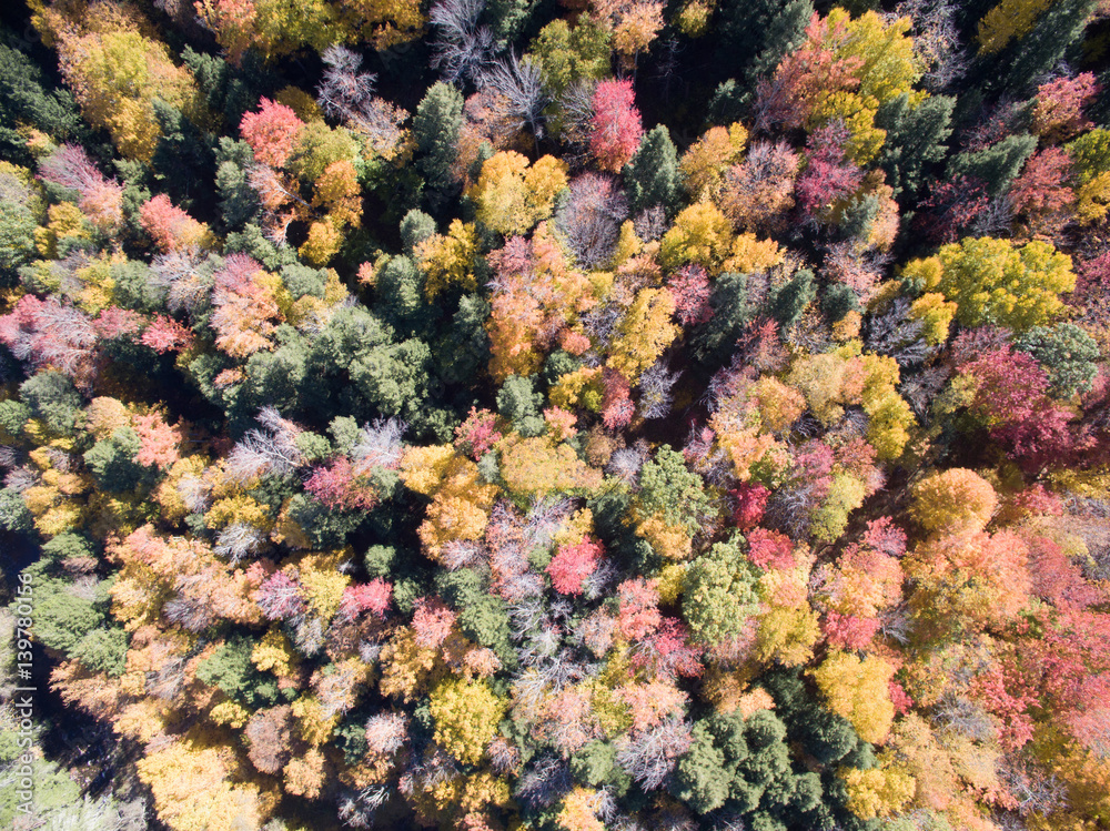 Leaf Peeping, Upstate New York Leaf Peeping, Upstate New York