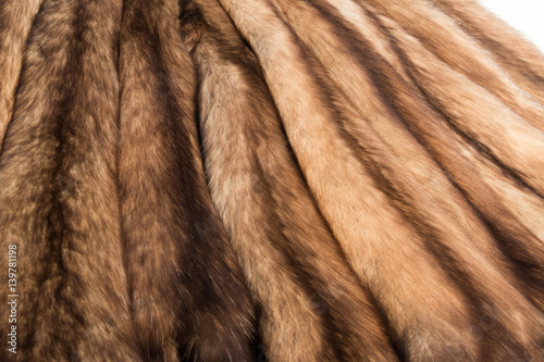 Natural background - bundle of brown tanned natural pelts of Russian Barguzin sable, valued for its expensive fur photo