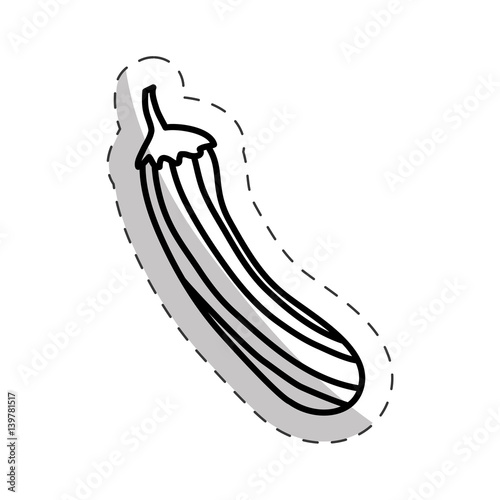 cucumber vegetal diet cut line vector illustraiton eps 10