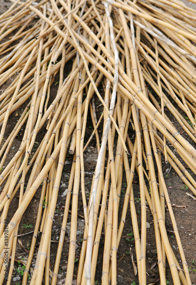 Pile of bamboo sticks, Pile of bamboo abstract background texture Pile of bamboo sticks, Pile of bamboo abstract background texture
