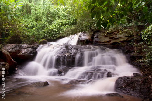 Waterfall in rainforest