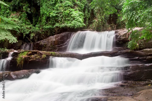 Obraz Piękna siklawa w zielonym lesie