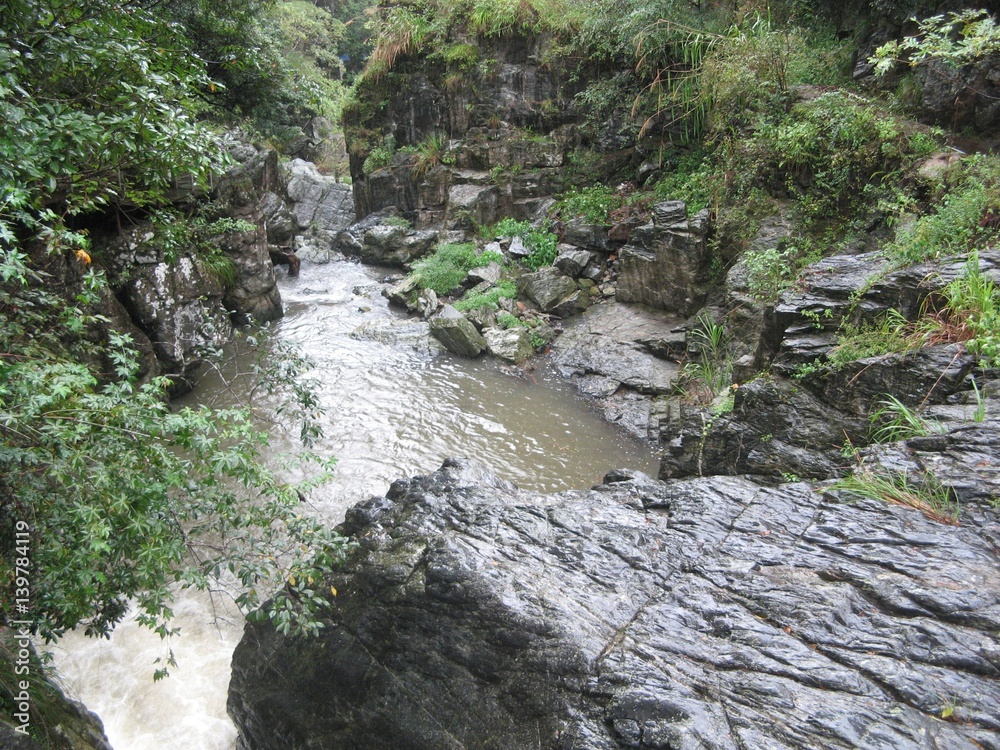 Mountain river flowing through the green forest. Mountain river flowing through the green forest.