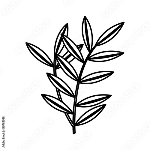leafs plant natural icon vector illustration design © Gstudio