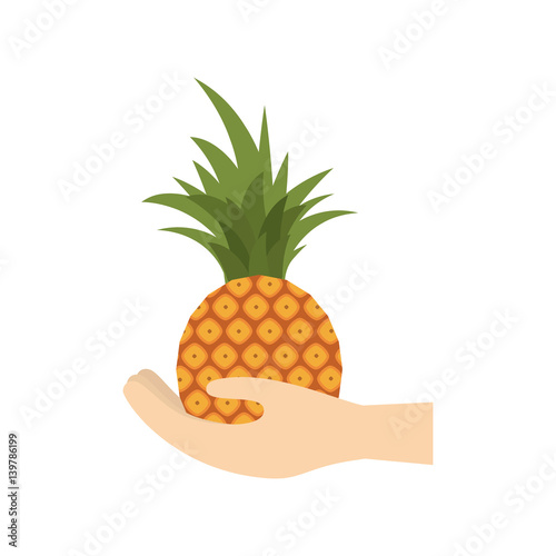 hand holding pineapple fruit vector illustration eps 10
