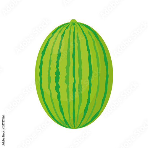 watermelon juicy fruit healthy vector illustration eps 10