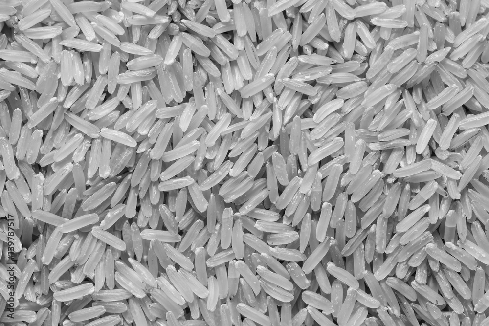 rice grain on top view in black and white tone rice grain on top view in black and white tone