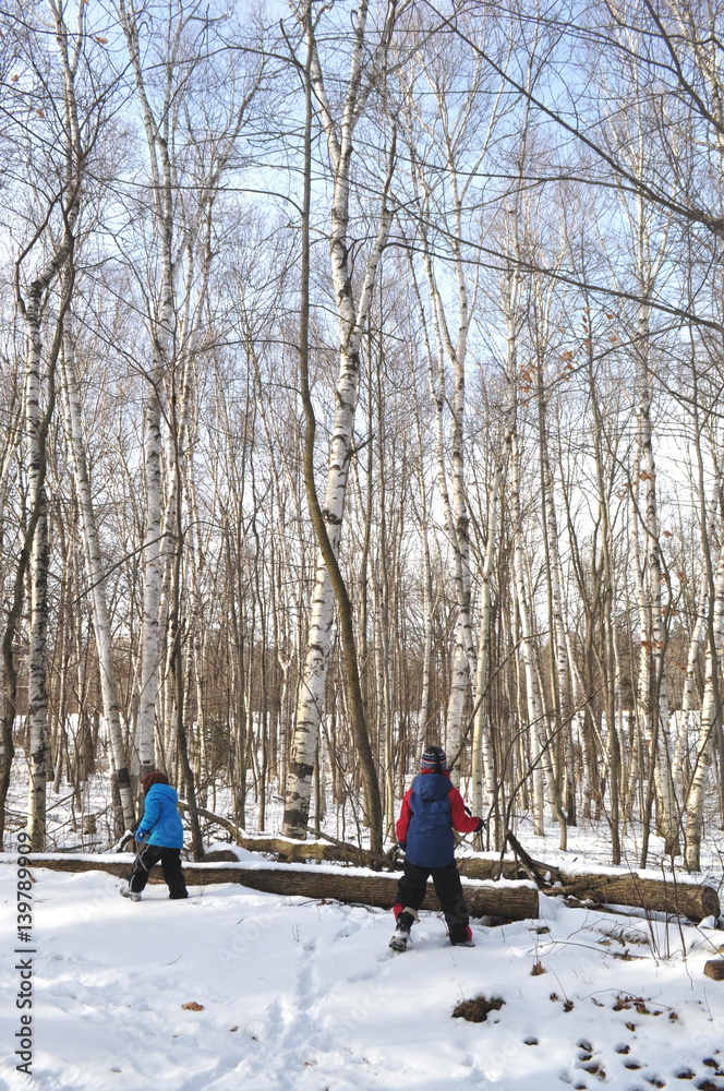 Two children are playing in winter snowy forest