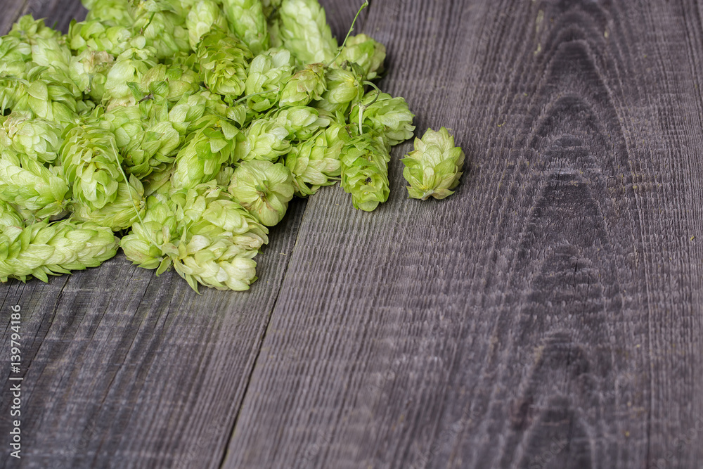 Fresh green hops on a wooden table