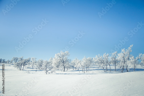 A beautiful landscape of a frozen plains in a snowy Norwegian winter day