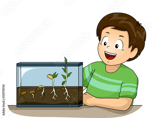 Kid Germination Experiment