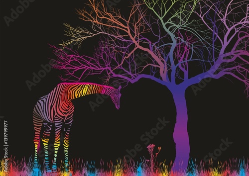 Magic savana