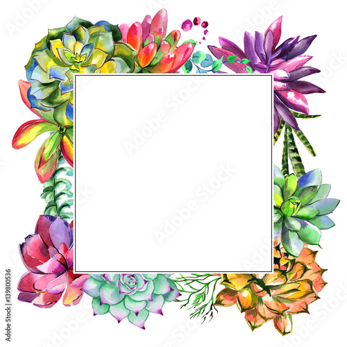 Wildflower succulentus flower frame in a watercolor style isolated. photo