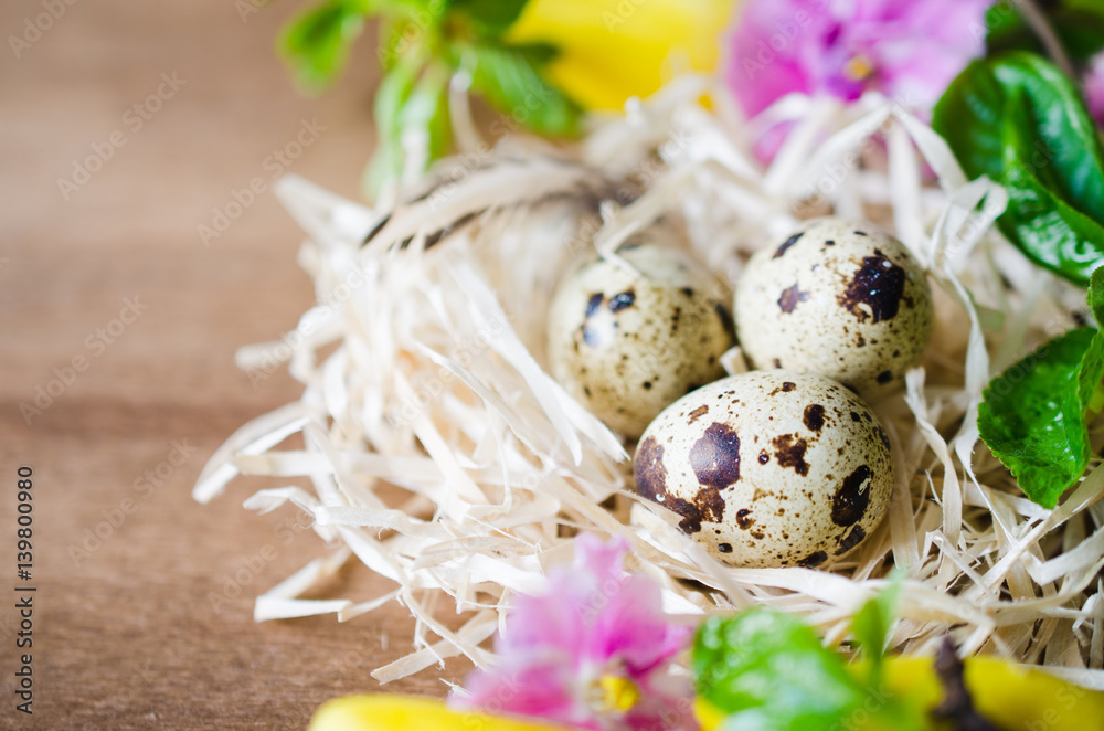 Easter Composition of eggs and spring flowers. Easter Composition of eggs and spring flowers.