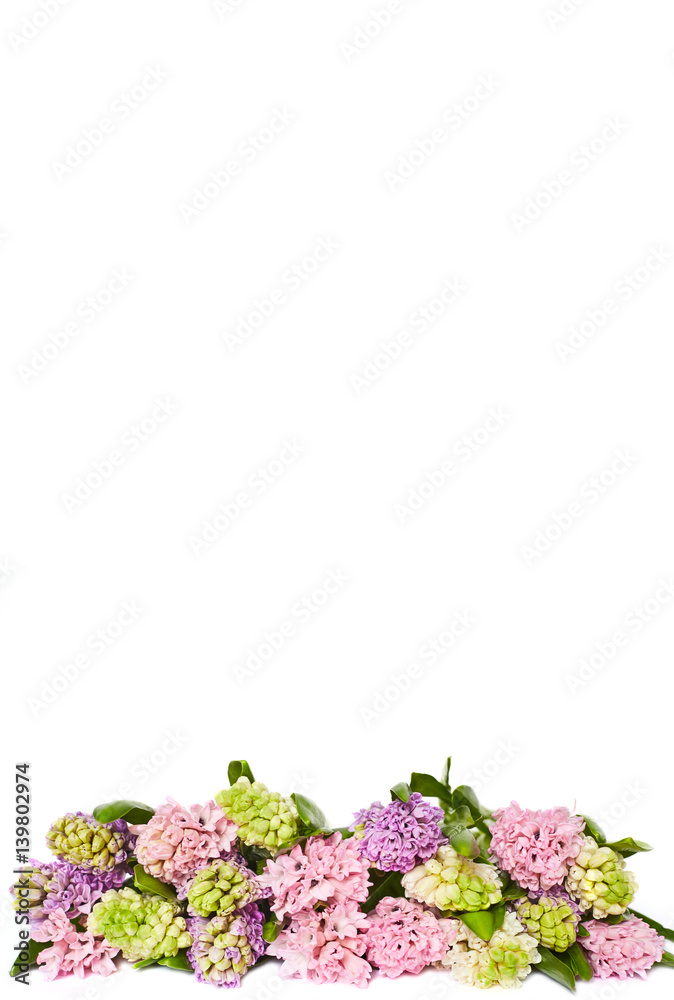 Spring background with hyacinths. Background with spring flowers Spring background with hyacinths. Background with spring flowers
