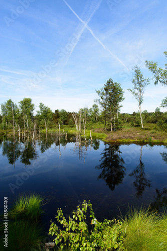 moor, wenger moor, salzburg, austria photo