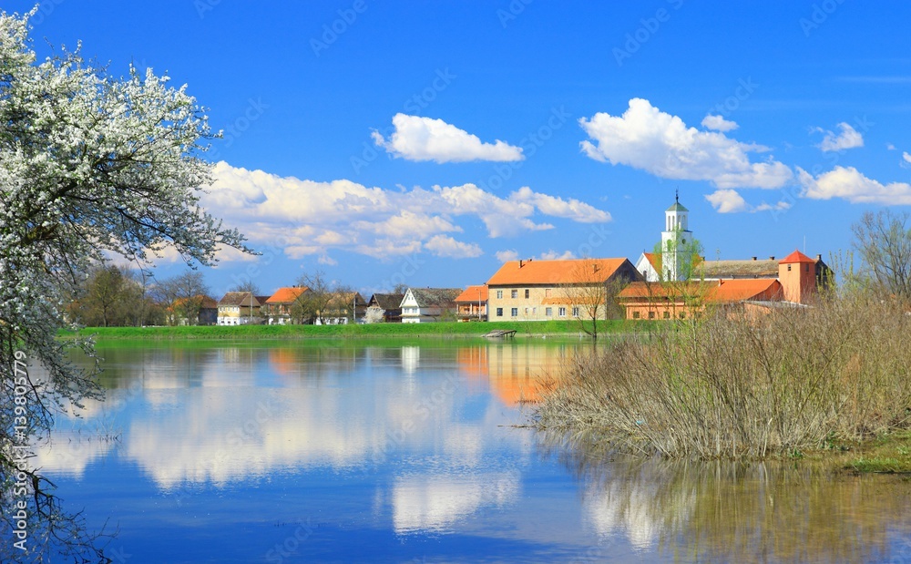 Spring landscape in countryside. Blossom tree on river coast, village and blue sky in background.