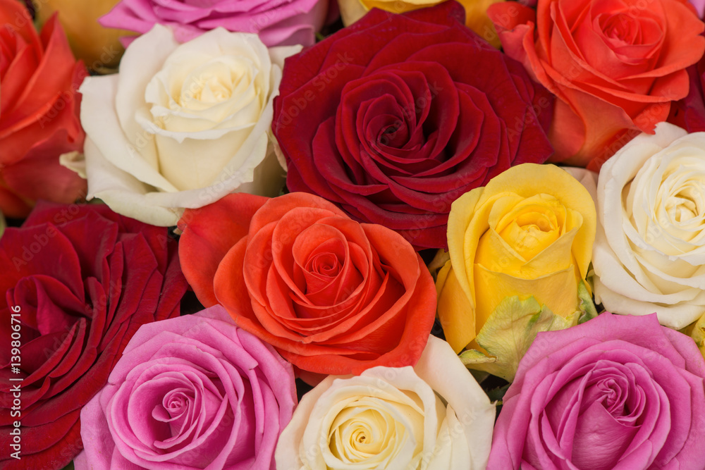 Closeup of a bunch of multicolored roses background Closeup of a bunch of multicolored roses background