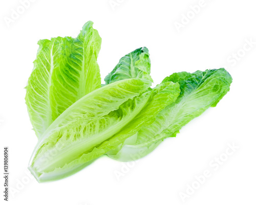 fresh baby cos (lettuce) on white background