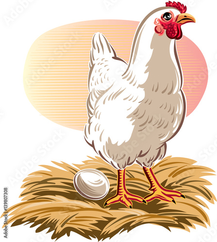 Hen has laid her egg.