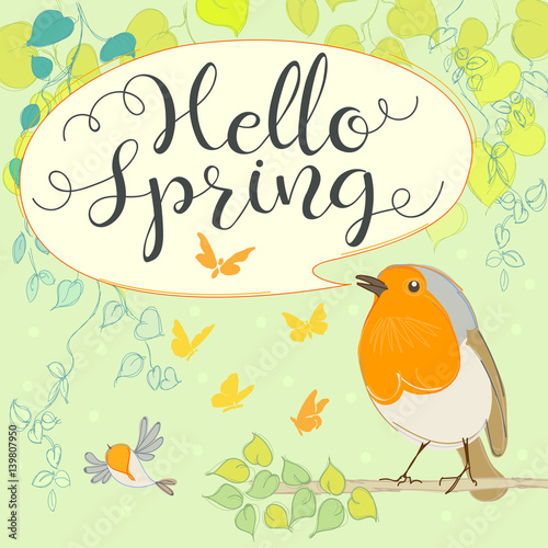 Hello spring with robin. Cartoon bird. Hand letter. Vector illustration