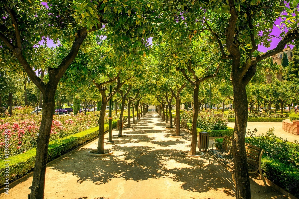 Malaga in Summer with Nature Landscape and beautiful colors