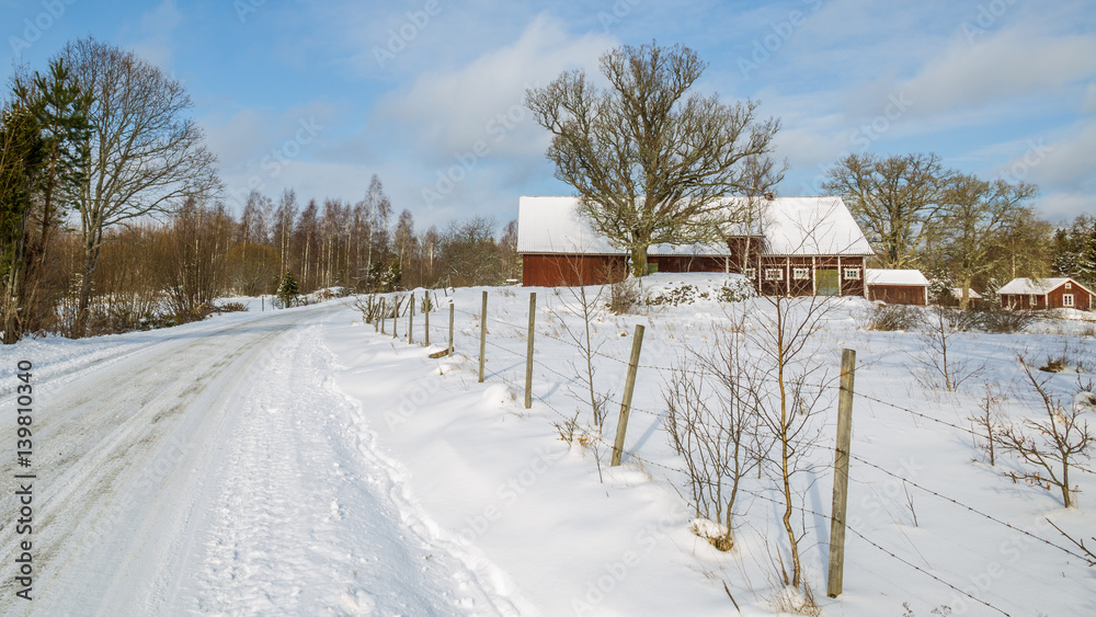 Naklejka premium Winterland