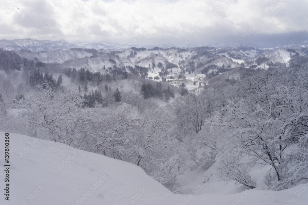 Obraz premium 雪化粧した木々と町並み