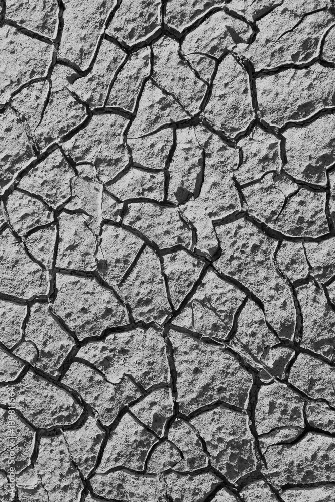 Monochrome cracked dirt background Monochrome cracked dirt background