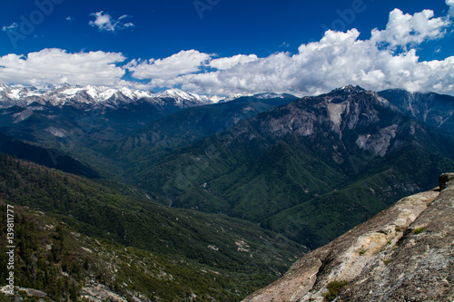 View of the Sequoia National Park  California  USA