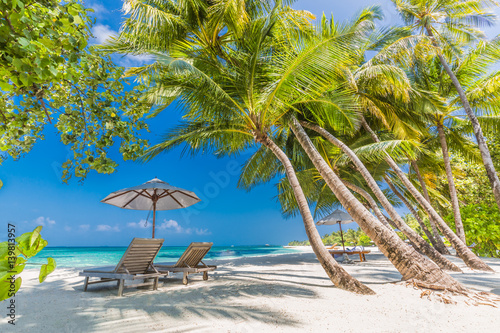 Fototapeta Naklejka Na Ścianę i Meble -  Maldives paradise beach. Perfect tropical island. Beautiful palm trees and tropical beach. Moody blue sky and blue lagoon. Luxury travel summer holiday background concept.