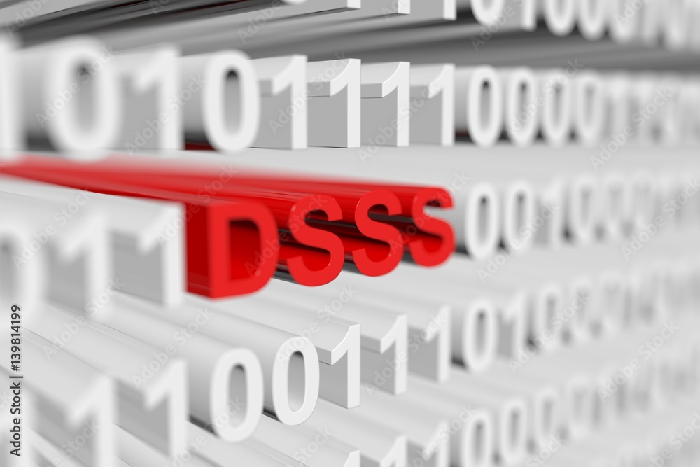 dsss in binary code with blurred background 3D illustration