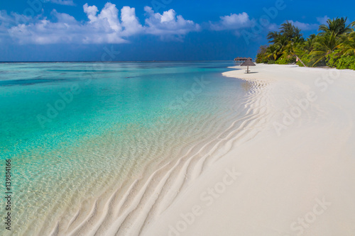 Rajska plaża na Malediwach. Idealna tropikalna wyspa. Piękne palmy i tropikalna plaża. Nastrojowe błękitne niebo i błękitna laguna. Luksusowy podróż wakacje letni tła pojęcie.