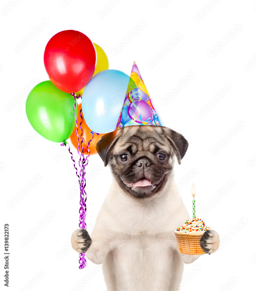 Dog in birthday hat holding balloons and cake. isolated on white background