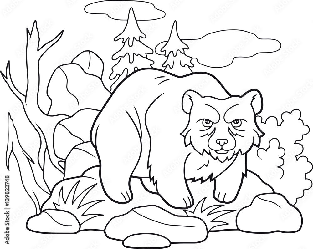 Obraz premium Cartoon funny bear coloring book