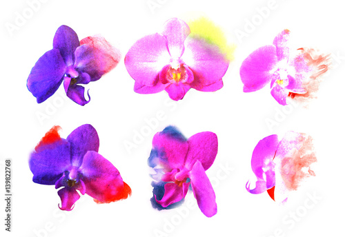 Set orchid flowers. Watercolor buds with blots of paint. Expressive style. For spa salon  wedding cards  decorating holidays  anniversaries